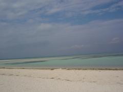 a1202261633m.jpg